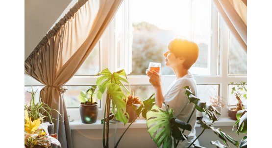 Cum îți reglezi contactul cu lumea: despre permeabilitate și stabilitate emoțională